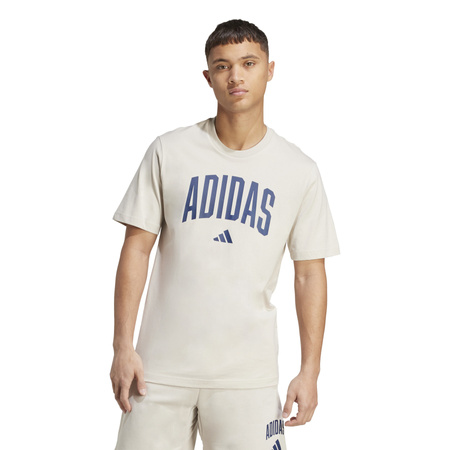 Koszulka treningowa męska adidas COLLEGIATE beżowa JM6415