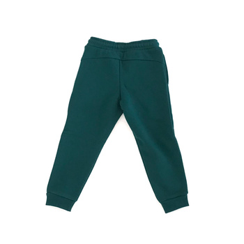 Spodnie dresowe chłopięce Puma Tape zielone 67407413