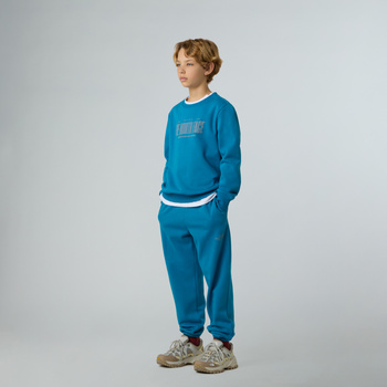 Bluza chłopięca The North Face REFLECTIVE LOGO RELAXED CREW niebieska NF0A8EATBOM