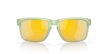 Okulary przeciwsłoneczne unisex Oakley HOLBROOK zielone OO9102-Y0