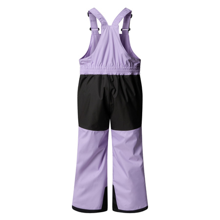 Spodnie narciarskie dziecięce The North Face FREEDOM INSULATED fioletowe NF0A88VMQZI