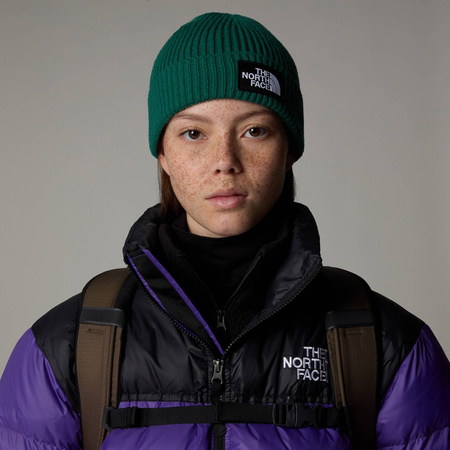 Czapka zimowa unisex The North Face LOGO CUFFED BEANIE zielona NF0A3FJXNL1