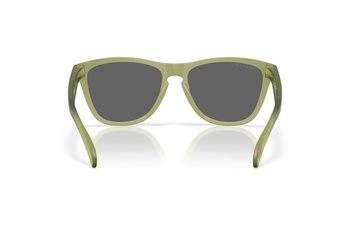 Okulary przeciwsłoneczne unisex Oakley FROGSKINS zielone OO9013-M2