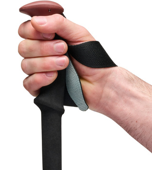 Kije trekkingowe unisex Black Diamond TRAIL TREKKING wielokolorowe BD1100456053