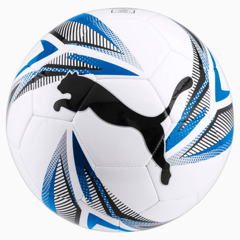 Piłka nożna unisex Puma FTBLPLAY BIG CAT biała 08329202