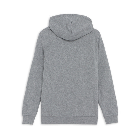 Bluza z kapturem męska Puma ESS FZ szara 84721903