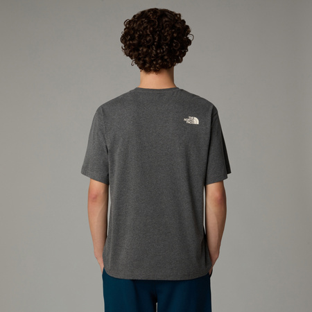 Koszulka męska The North Face VARSITY GRAPHIC szara NF0A89DGDYY