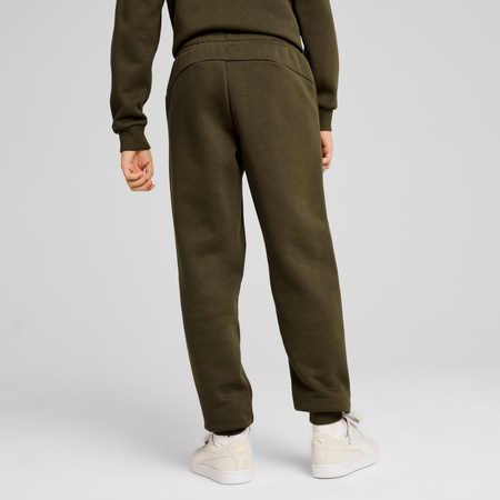 Spodnie dresowe chłopięce Puma POWER GRAPHIC FL CL zielone 68186070