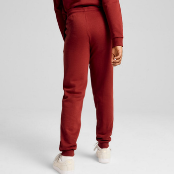 Spodnie dresowe dziewczęce Puma ESS+ SCRIPT METALLIC FL czerwone 68279913