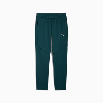 Spodnie dresowe męskie Puma EVOSTRIPE WARM zielone 68823975