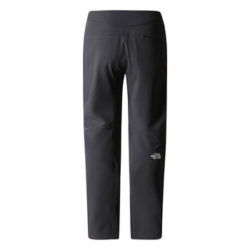 Spodnie Trekkingowe The North Face DIABLO REG TAPERED PANT Męskie NF0A7X6D0C5