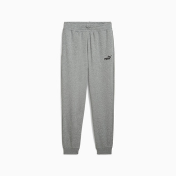 Spodnie dresowe męskie Puma ESS NO. 1 LOGO TR CL szare 68260803