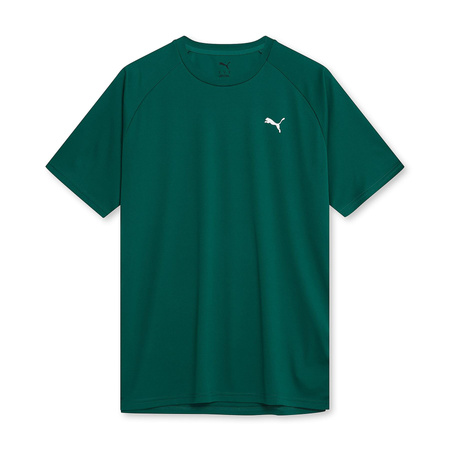 Koszulka męska Puma TRAINING zielona 68952121