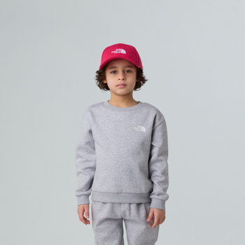 Komplet dresowy dziecięcy The North Face SIMPLE DOME FLEECE szary NF0A8EFMDYX