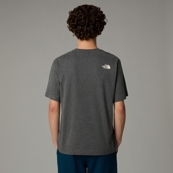 Koszulka męska The North Face VARSITY GRAPHIC szara NF0A89DGDYY