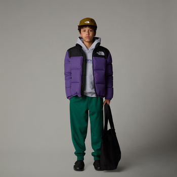 Kurtka puchowa dziecięca The North Face 1996 RETRO NUPTSE fioletowa NF0A8A4C6KO