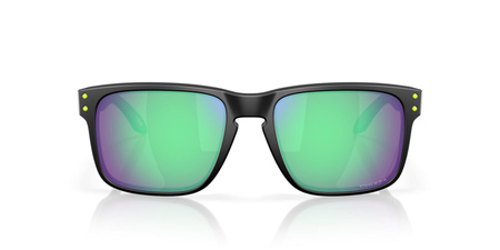 Okulary przeciwsłoneczne unisex Oakley HOLBROOK czarne OO9102-AI