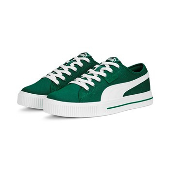 Buty sportowe męskie Puma EVER FS CV zielone 38639304