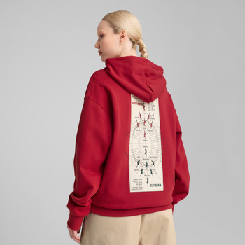 Bluza z kapturem męska Puma X HARRY POTTER RELAXED GRAPHIC bordowa 63009313