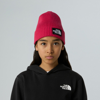 Czapka zimowa dziecięca The North Face LOGO BOX CUFFED różowa NF0A8CGUBOS