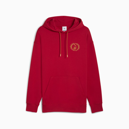Bluza z kapturem męska Puma X HARRY POTTER RELAXED GRAPHIC bordowa 63009313