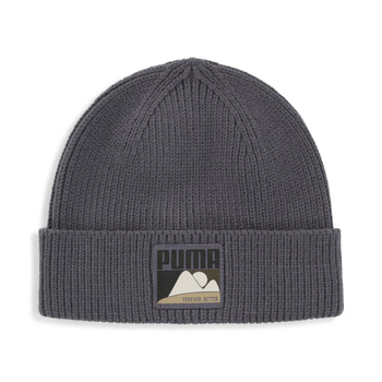 Czapka zimowa unisex Puma BETTER SORTSWEAR szara 02547002