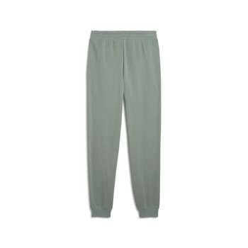 Spodnie dresowe męskie Puma ESS 2 COLOR NO.1 LOGO TR CL zielone 68471430