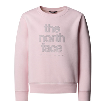 Bluza dziewczęca The North Face REFLECTIVE LOGO RELAXED CREW różowa NF0A8EAPBP6