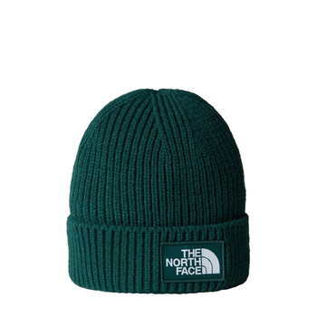 Czapka zimowa unisex The North Face LOGO BOX zielona NF0A3FJX68L