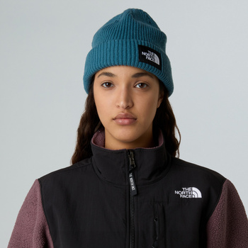 Czapka zimowa unisex The North Face SALTY LINED niebieska NF0A8CGZBQ5