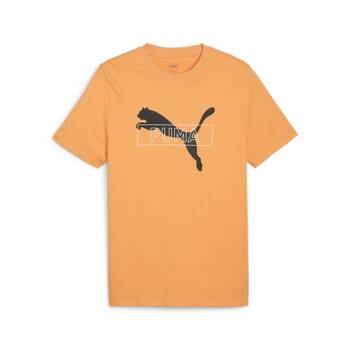 Koszulka męska Puma DESERT ROAD GRAPHIC pomarańczowa 67970546