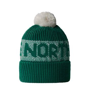 Czapka zimowa unisex The North Face RETRO CABIN BEANIE zielona NF0A88QW84O