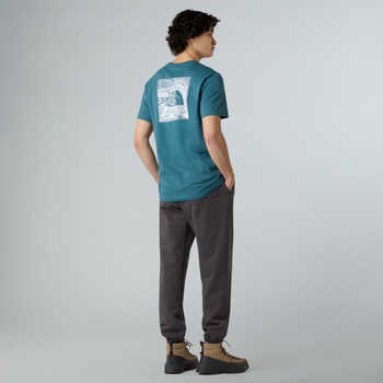 Koszulka męska The North Face REDBOX CELEBRATION niebieska NF0A87NVBQ5
