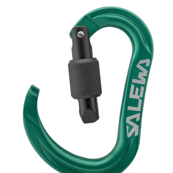 Karabinek wspinaczkowy unisex Salewa ORTLES HMS S zielony 00-0000072001_5210