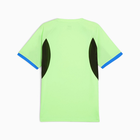 Koszulka męska Puma INDIVIDUALLIGA JERSEY zielona 65952602