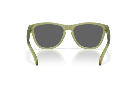 Okulary przeciwsłoneczne unisex Oakley FROGSKINS zielone OO9013-M2