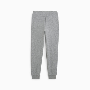 Spodnie dresowe chłopięce Puma POWER GRAPHIC FL CL szare 68186003