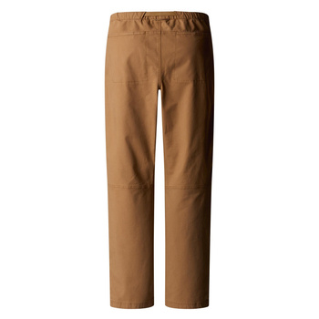 Spodnie trekkingowe męskie The North Face BETA UTILITY brązowe NF0A8B62173