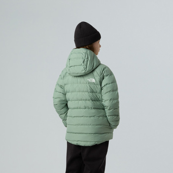 Kurtka puchowa z kapturem dziewczęca The North Face PERRITO zielona NF0A88UEBQ1