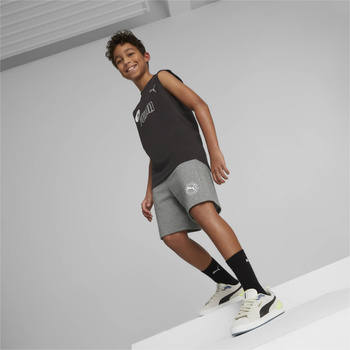 Spodenki chłopięce Puma ACTIVE SPORTS TR szare 67320703