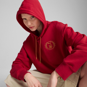 Bluza z kapturem męska Puma X HARRY POTTER RELAXED GRAPHIC bordowa 63009313