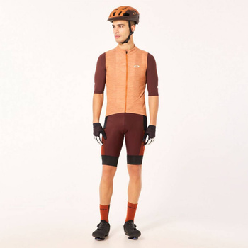 Spodenki rowerowe męskie Oakley OFF GRID CARGO BIB bordowe FOA405436-9B2