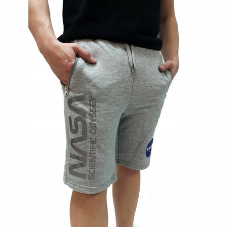 Spodenki męskie Alpha Industries ODYSSEY szare 126336-17