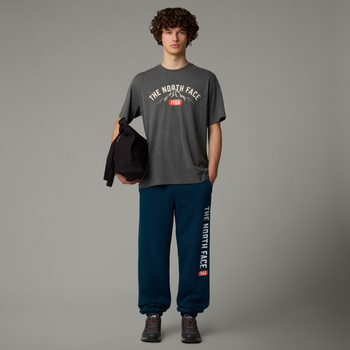 Koszulka męska The North Face VARSITY GRAPHIC szara NF0A89DGDYY