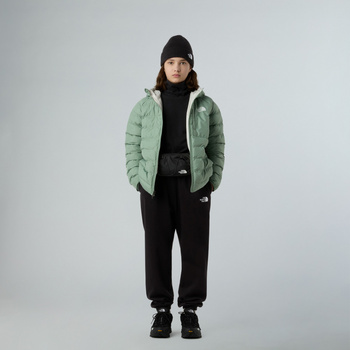 Kurtka puchowa z kapturem dziewczęca The North Face PERRITO zielona NF0A88UEBQ1