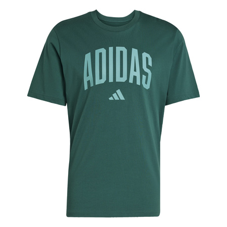 Koszulka treningowa męska adidas COLLEGIATE zielona KA7135
