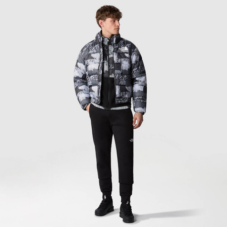 Kurtka puchowa męska The North Face 2000 szara NF0A7UREONZ