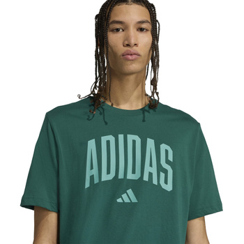 Koszulka treningowa męska adidas COLLEGIATE zielona KA7135
