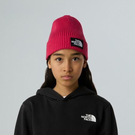Czapka zimowa dziecięca The North Face LOGO BOX CUFFED różowa NF0A8CGUBOS