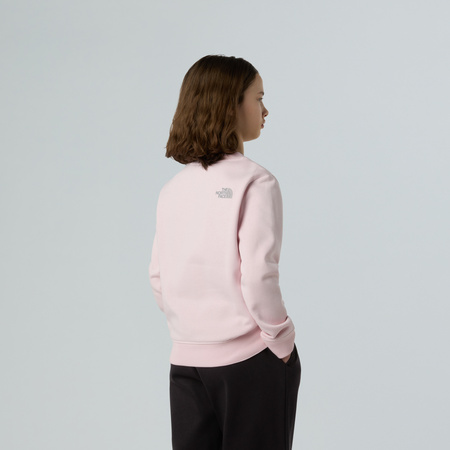 Bluza dziewczęca The North Face REFLECTIVE LOGO RELAXED CREW różowa NF0A8EAPBP6